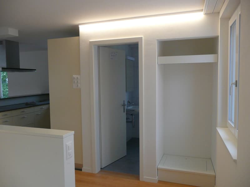 3 1/2-Zimmer-Wohnung mit eigener Dachterrasse und Seesicht (4)