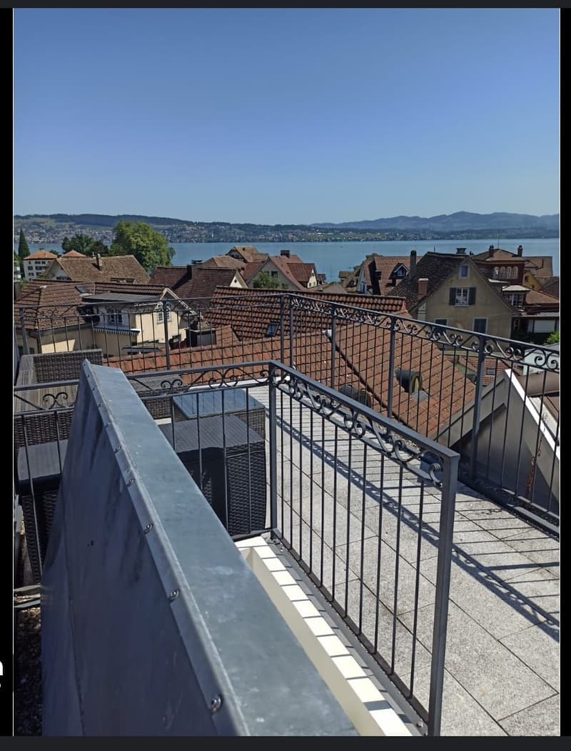 3 1/2-Zimmer-Wohnung mit eigener Dachterrasse und Seesicht (11)