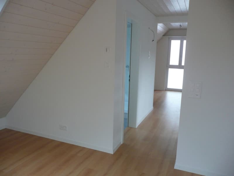 3 1/2-Zimmer-Wohnung mit eigener Dachterrasse und Seesicht (9)