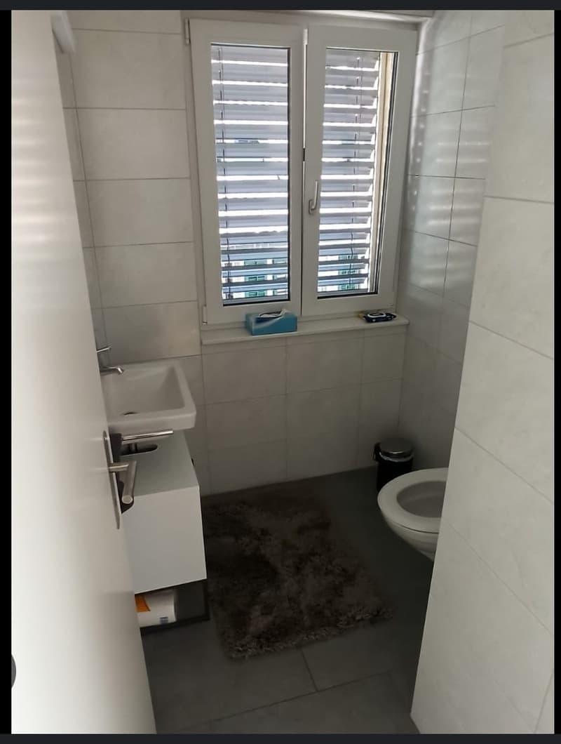 3 1/2-Zimmer-Wohnung mit eigener Dachterrasse und Seesicht (3)