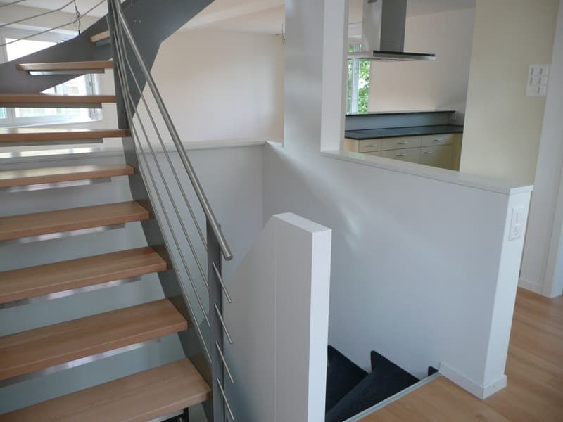 3 1/2-Zimmer-Wohnung mit eigener Dachterrasse und Seesicht (5)