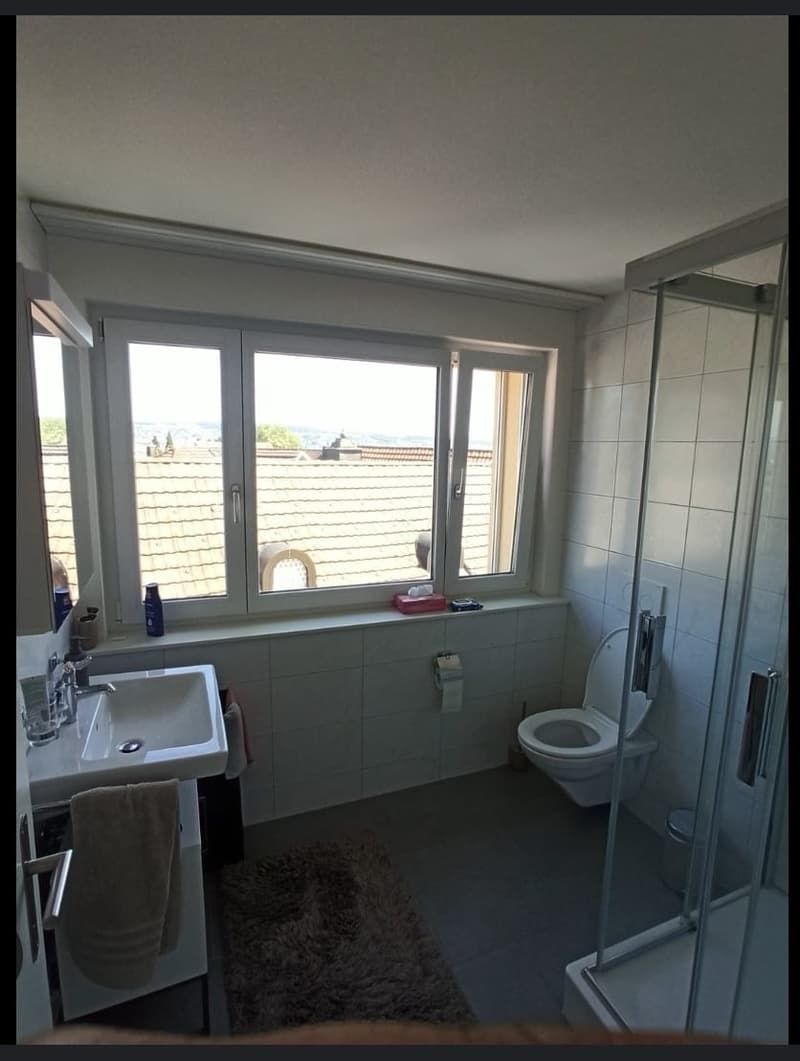 3 1/2-Zimmer-Wohnung mit eigener Dachterrasse und Seesicht (8)
