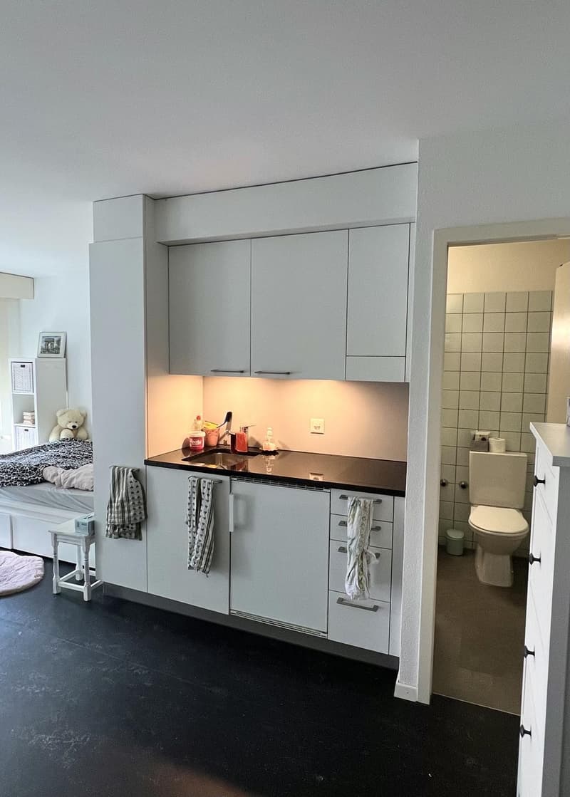 Gemütliche 1-Zimmer-Wohnung an zentraler Lage mit grossem Balkon. (4)