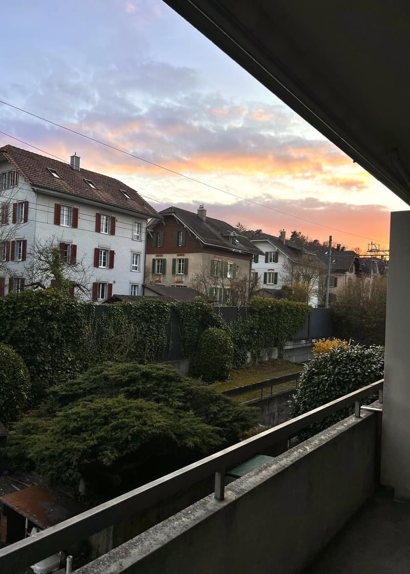 Gemütliche 1-Zimmer-Wohnung an zentraler Lage mit grossem Balkon. (6)