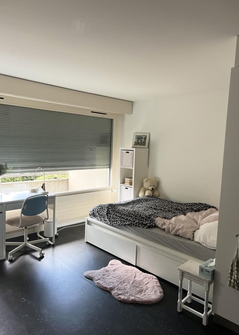 Gemütliche 1-Zimmer-Wohnung an zentraler Lage mit grossem Balkon. (3)