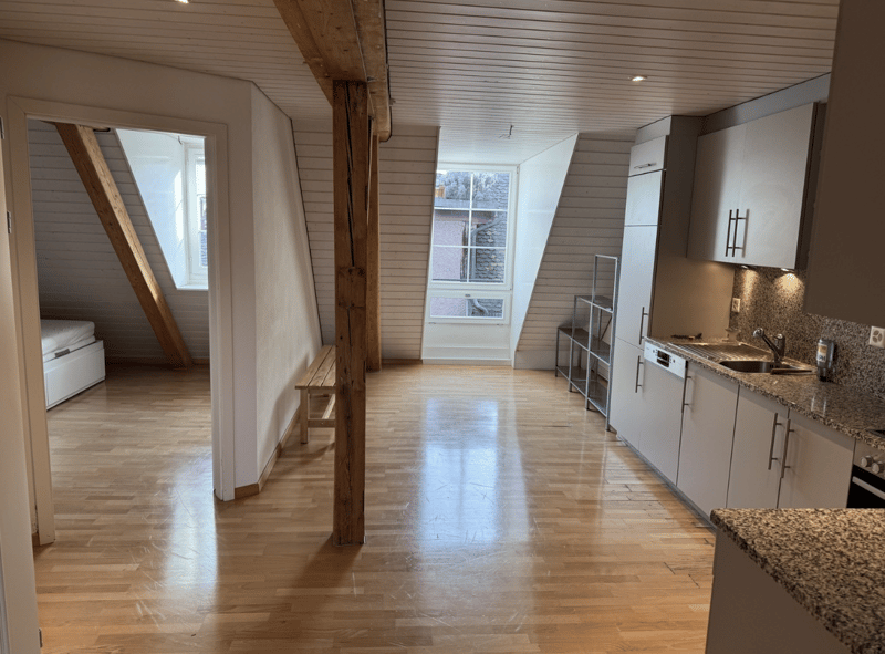 3.5-Room Maisonette with Private Rooftop Terrace in Zurich Old Town (3)