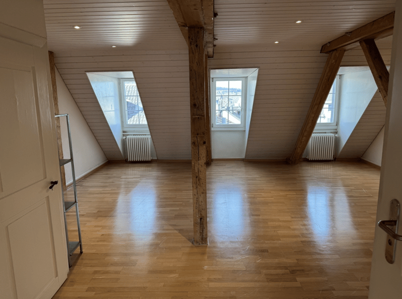 3.5-Room Maisonette with Private Rooftop Terrace in Zurich Old Town (5)