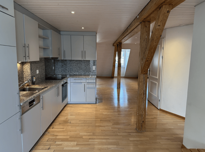 3.5-Room Maisonette with Private Rooftop Terrace in Zurich Old Town (1)