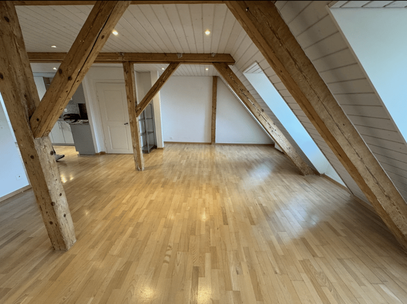 3.5-Room Maisonette with Private Rooftop Terrace in Zurich Old Town (4)