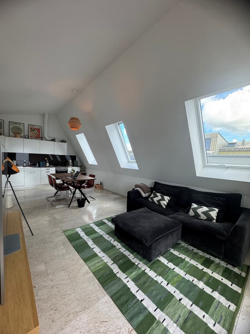 2 ½ Zimmer-Wohnung, 8405 Winterthur (2)