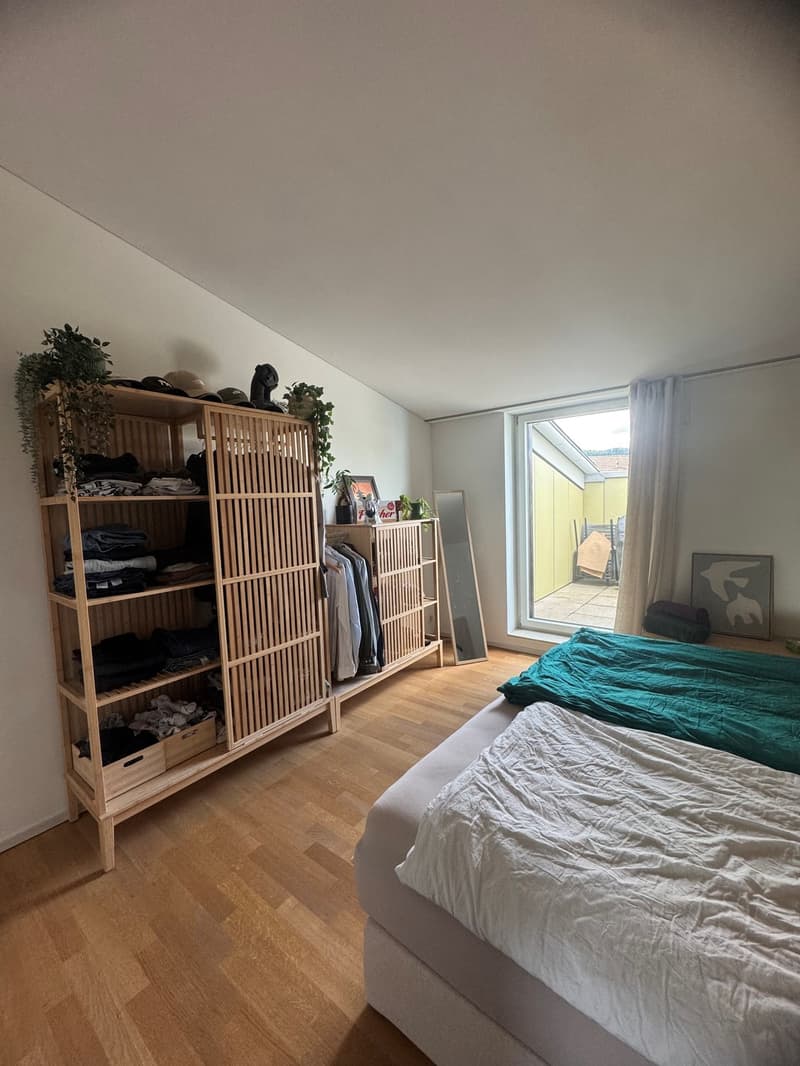 2 ½ Zimmer-Wohnung, 8405 Winterthur (7)