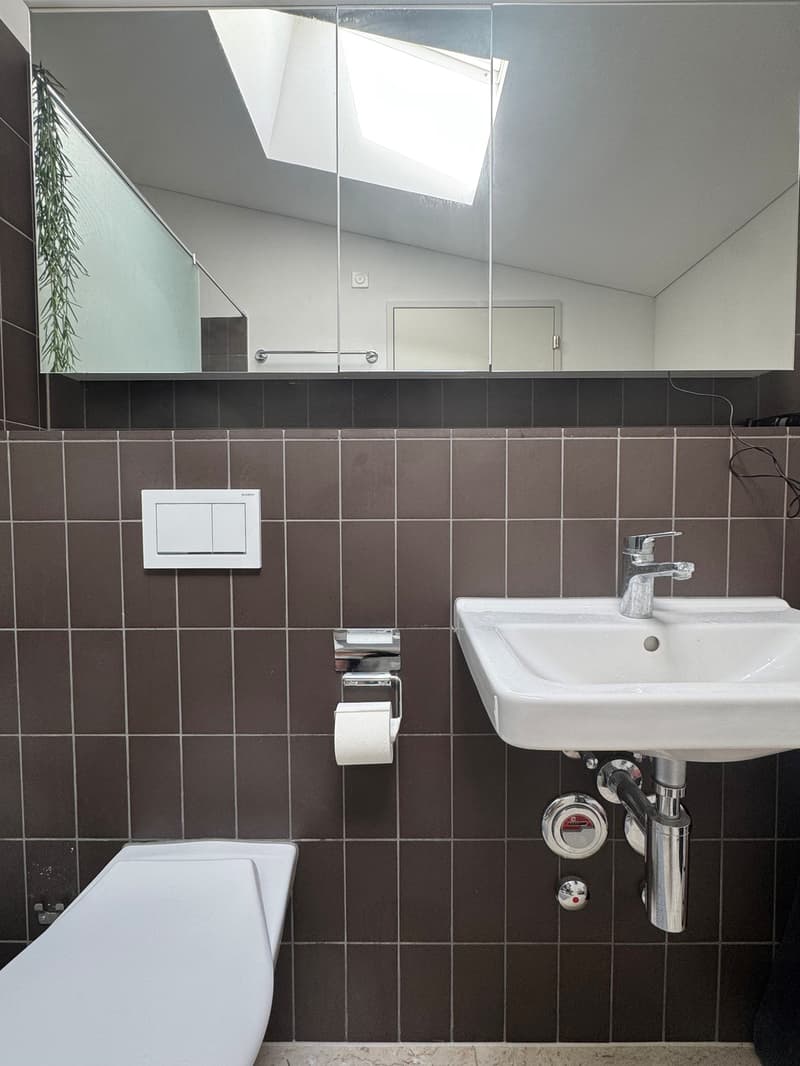 2 ½ Zimmer-Wohnung, 8405 Winterthur (8)