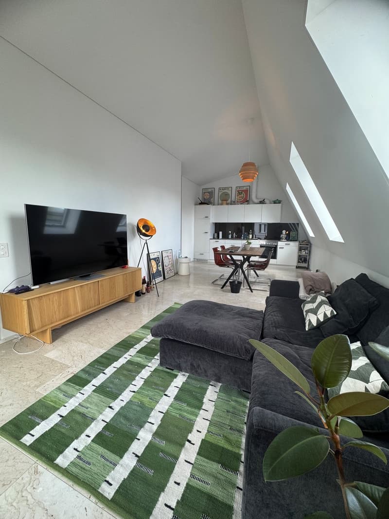 2 ½ Zimmer-Wohnung, 8405 Winterthur (1)
