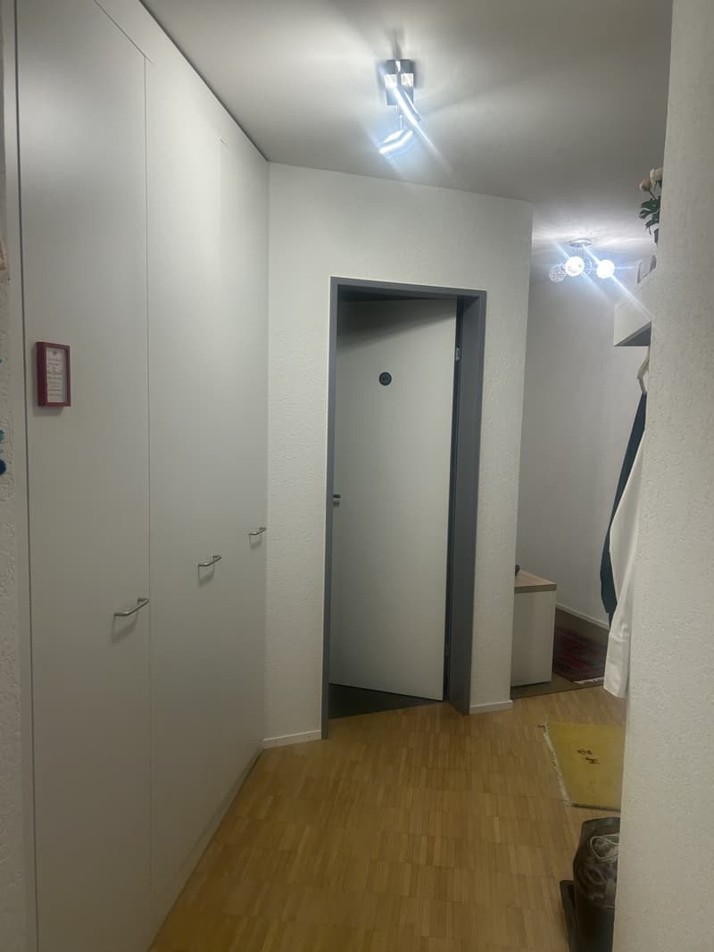 WG Zimmer, 9443 Widnau (3)