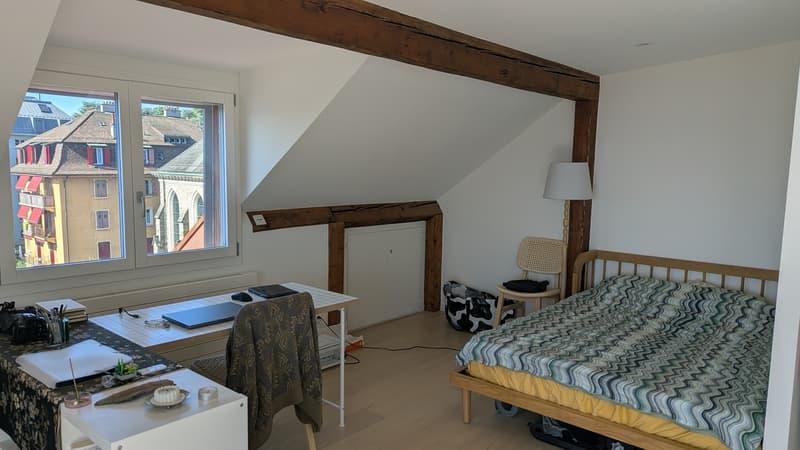 Charming 1.5-Room Apartment with Balcony and Scenic View in Lausanne (4)