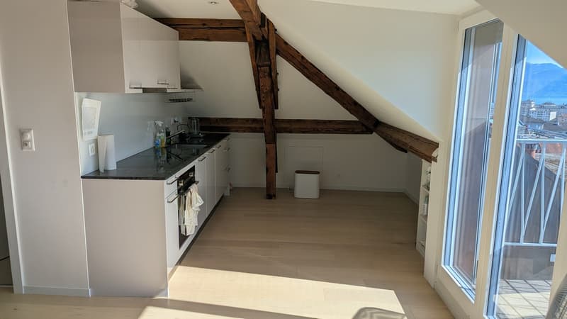 Charming 1.5-Room Apartment with Balcony and Scenic View in Lausanne (3)