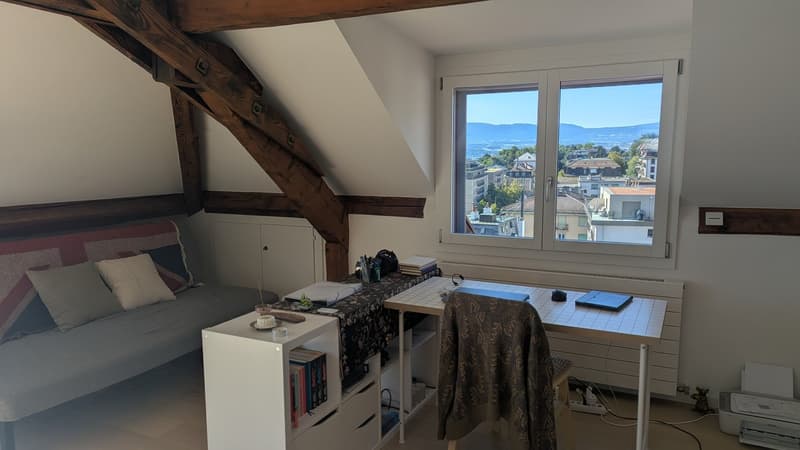 Charming 1.5-Room Apartment with Balcony and Scenic View in Lausanne (2)
