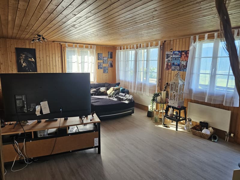 Wunderschöne 3.5 Zimmer-Whg. Sucht Nachmieter (1)