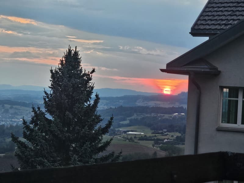 Wunderschöne 3.5 Zimmer-Whg. Sucht Nachmieter (2)