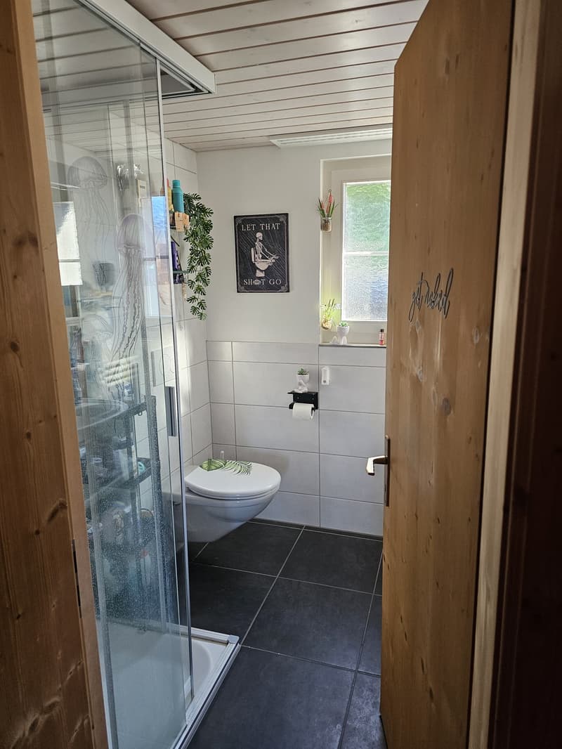 Wunderschöne 3.5 Zimmer-Whg. Sucht Nachmieter (6)