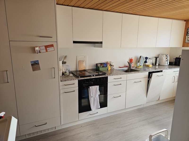 Wunderschöne 3.5 Zimmer-Whg. Sucht Nachmieter (4)