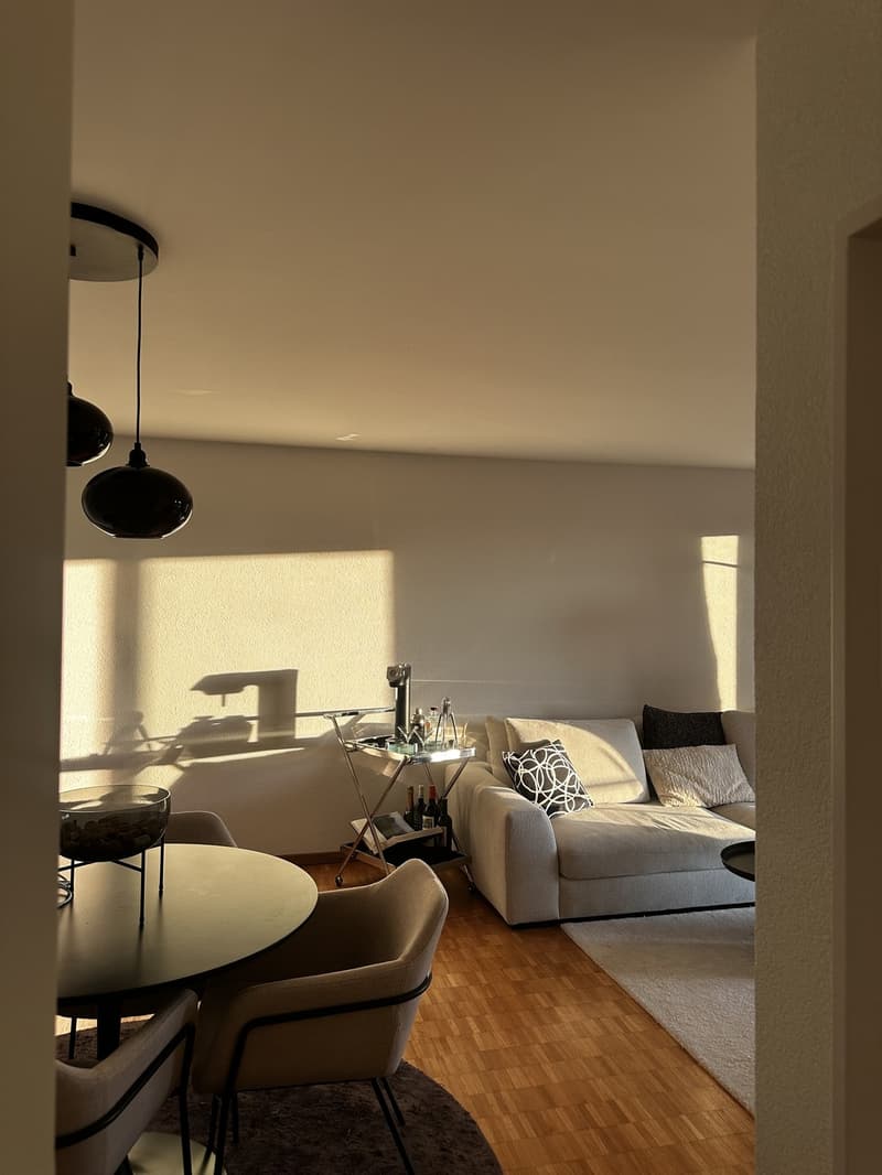 Helle 2.5-Zimmer-Wohnung mit grosszügigem Balkon und schöner Aussicht (1)