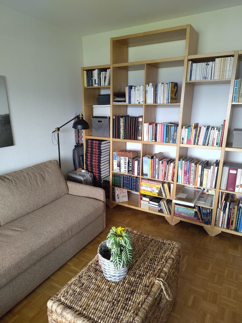 Chambre à louer au Grand-Saconnex (GE) (9)
