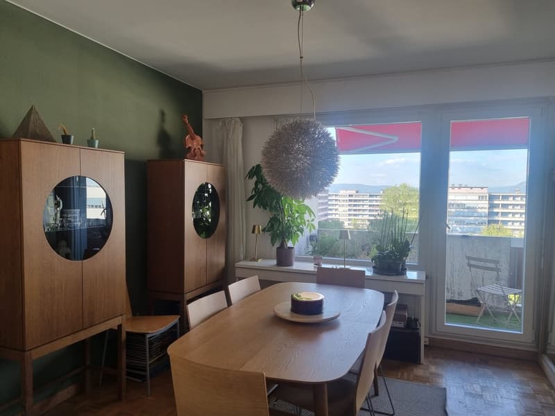 Chambre à louer au Grand-Saconnex (GE) (6)