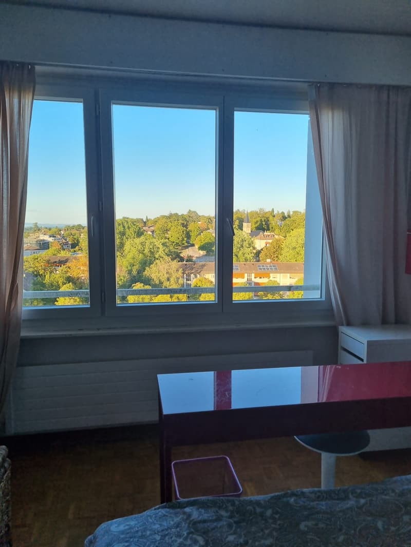 Chambre à louer au Grand-Saconnex (GE) (4)