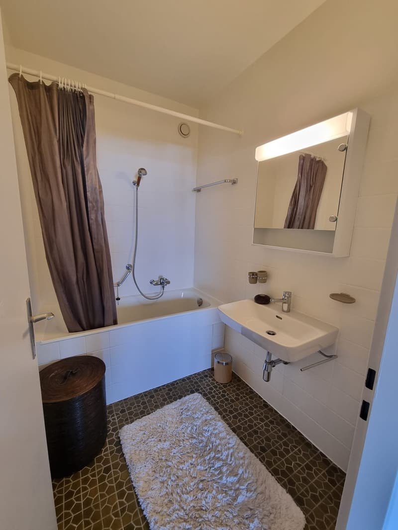 Chambre à louer au Grand-Saconnex (GE) (5)