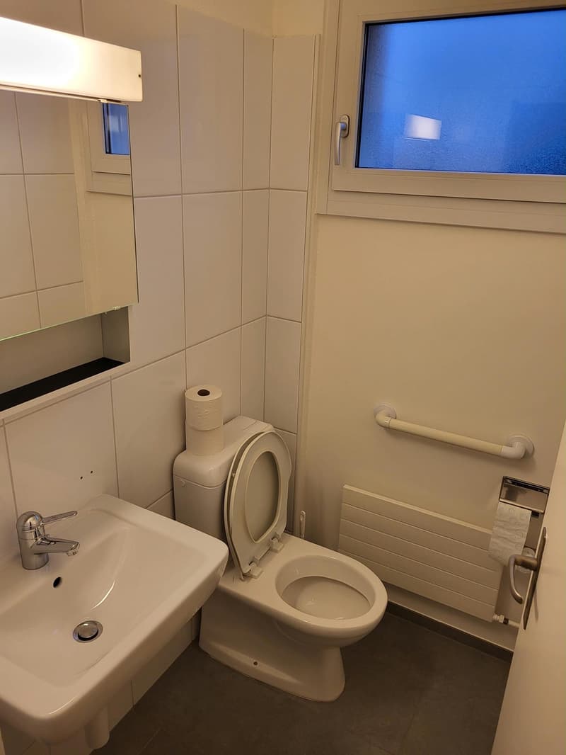 Möbliertes Smart-Zimmer in grosser Wohnung am Waldrand  Pfaffhausen (Zürich) (6)