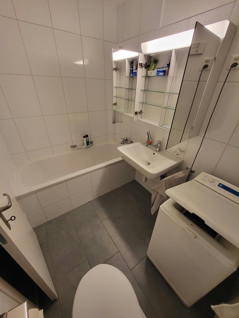 Möbliertes Smart-Zimmer in grosser Wohnung am Waldrand  Pfaffhausen (Zürich) (7)
