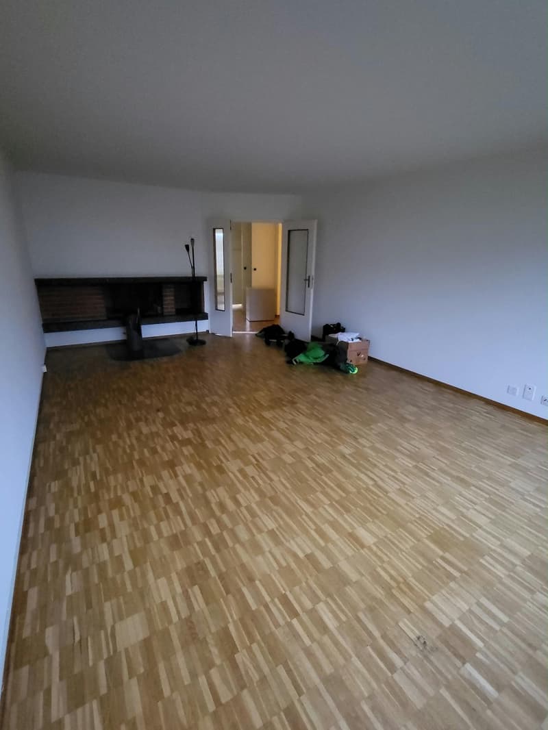 Möbliertes Smart-Zimmer in grosser Wohnung am Waldrand  Pfaffhausen (Zürich) (11)