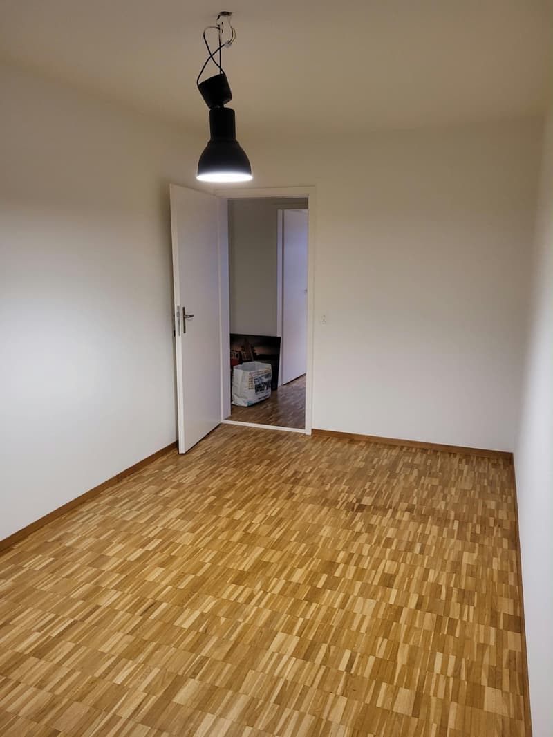 Möbliertes Smart-Zimmer in grosser Wohnung am Waldrand  Pfaffhausen (Zürich) (4)