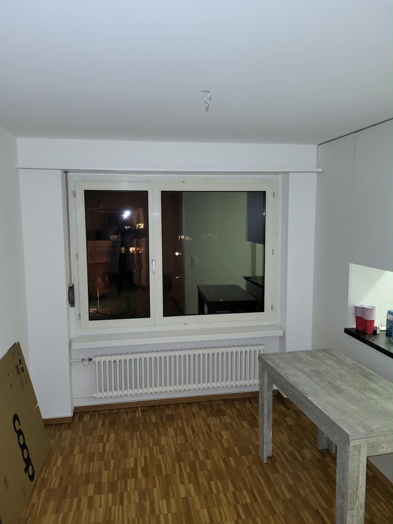 Möbliertes Smart-Zimmer in grosser Wohnung am Waldrand  Pfaffhausen (Zürich) (5)
