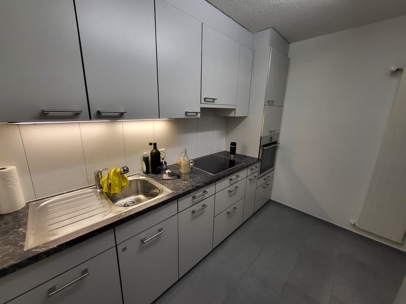 Möbliertes Smart-Zimmer in grosser Wohnung am Waldrand  Pfaffhausen (Zürich) (9)