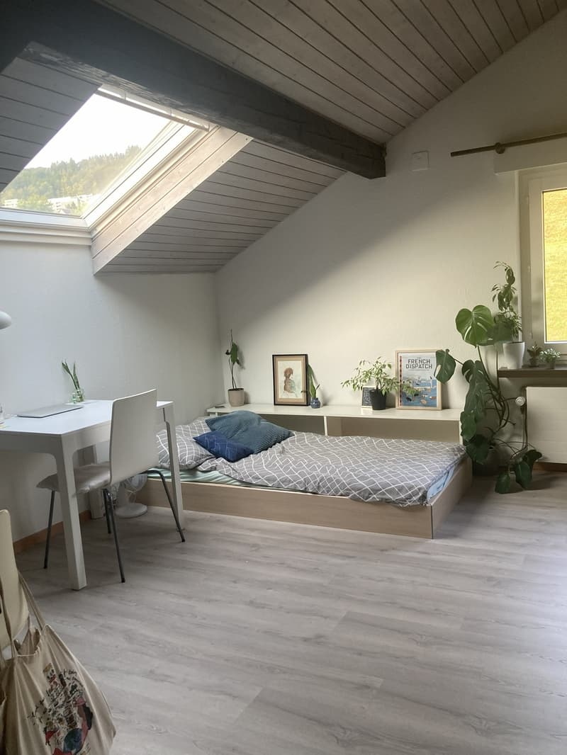 Untermiete Studio Horgen (1)