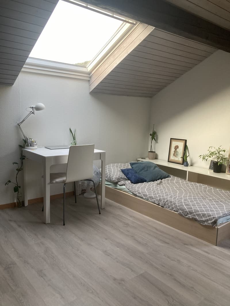 Untermiete Studio Horgen (2)