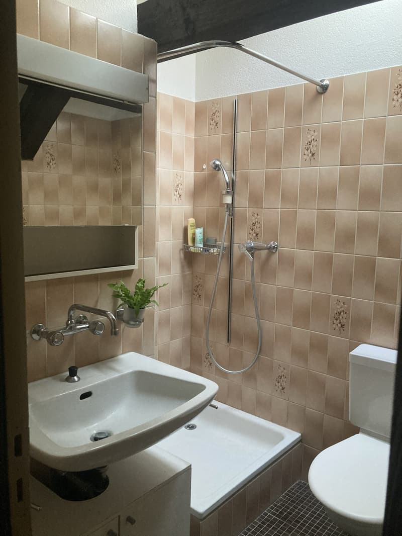 Untermiete Studio Horgen (7)