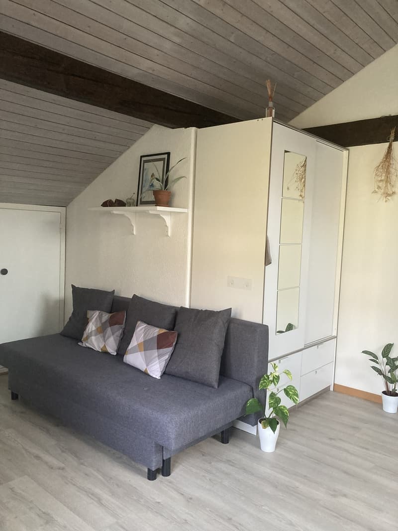 Untermiete Studio Horgen (4)