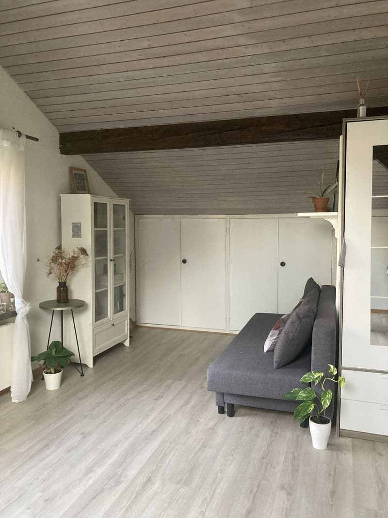 Untermiete Studio Horgen (3)