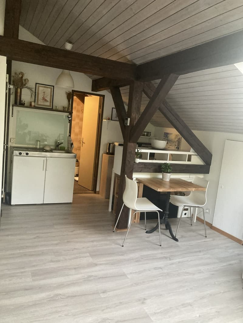 Untermiete Studio Horgen (5)