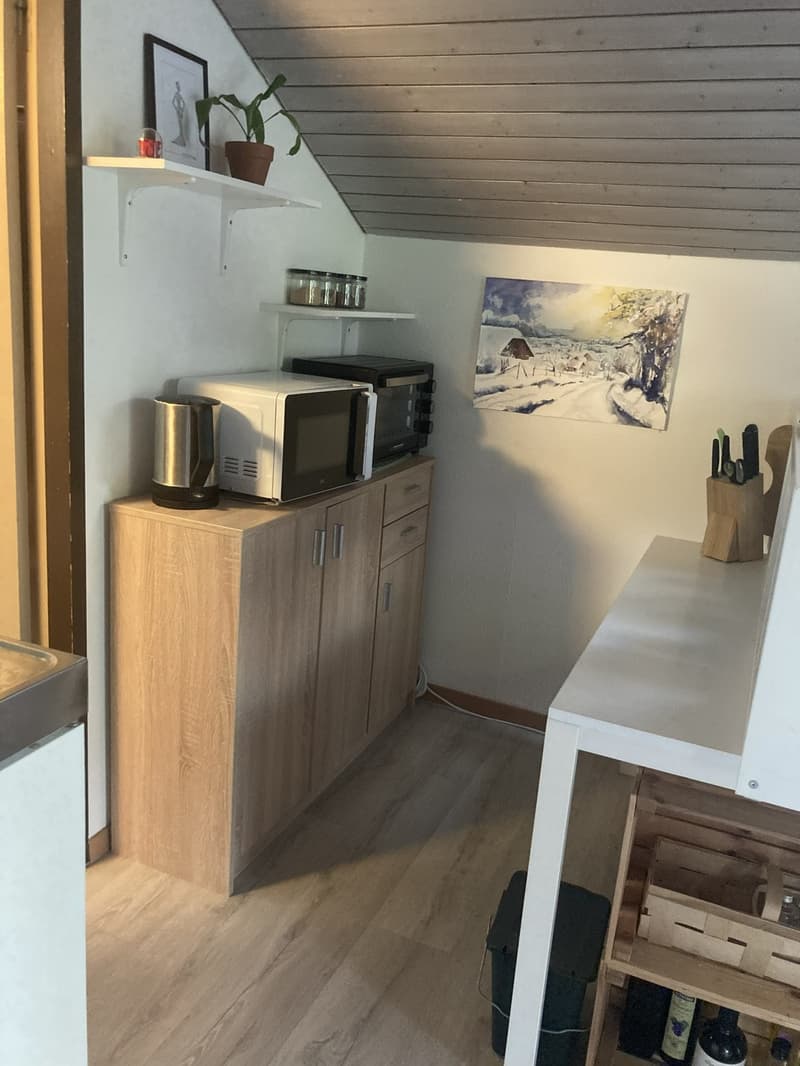 Untermiete Studio Horgen (6)