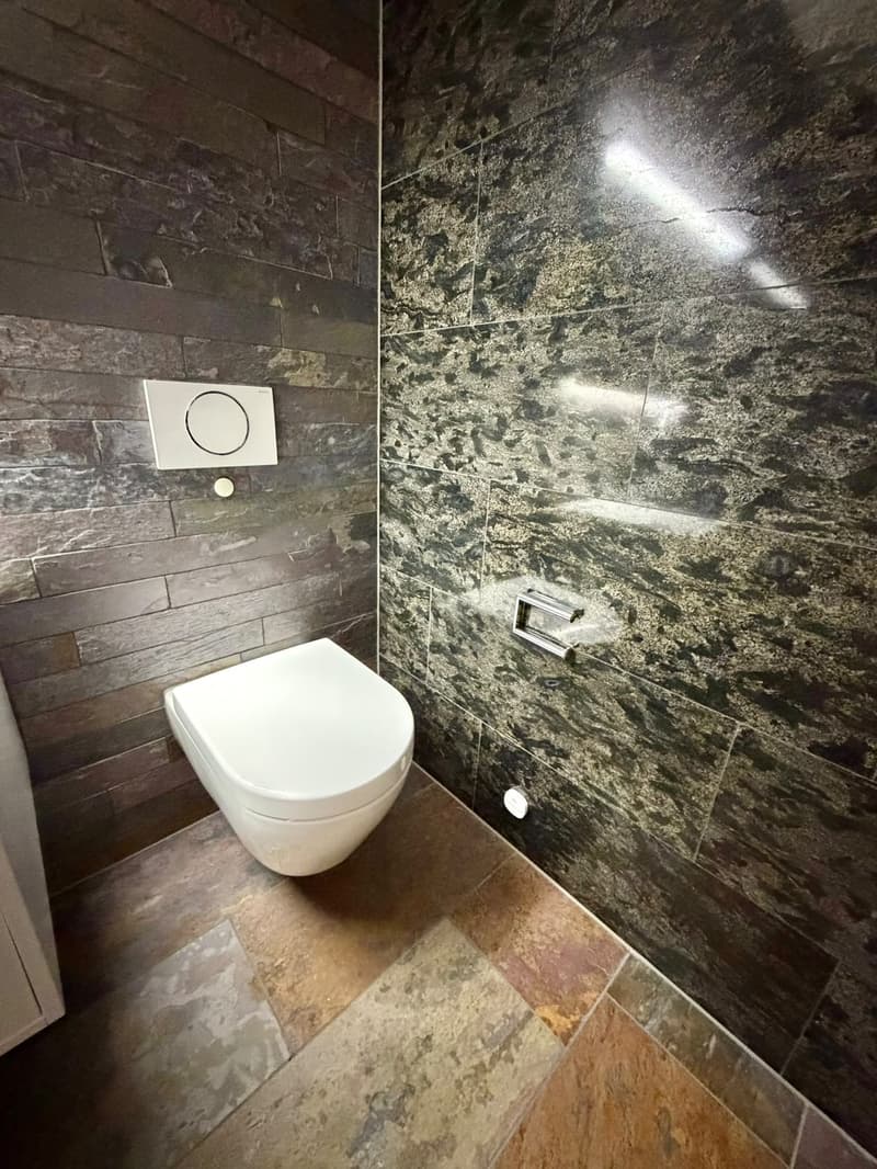 Stunning 3.5-Room Apartment in Zug Available Immediately (8)