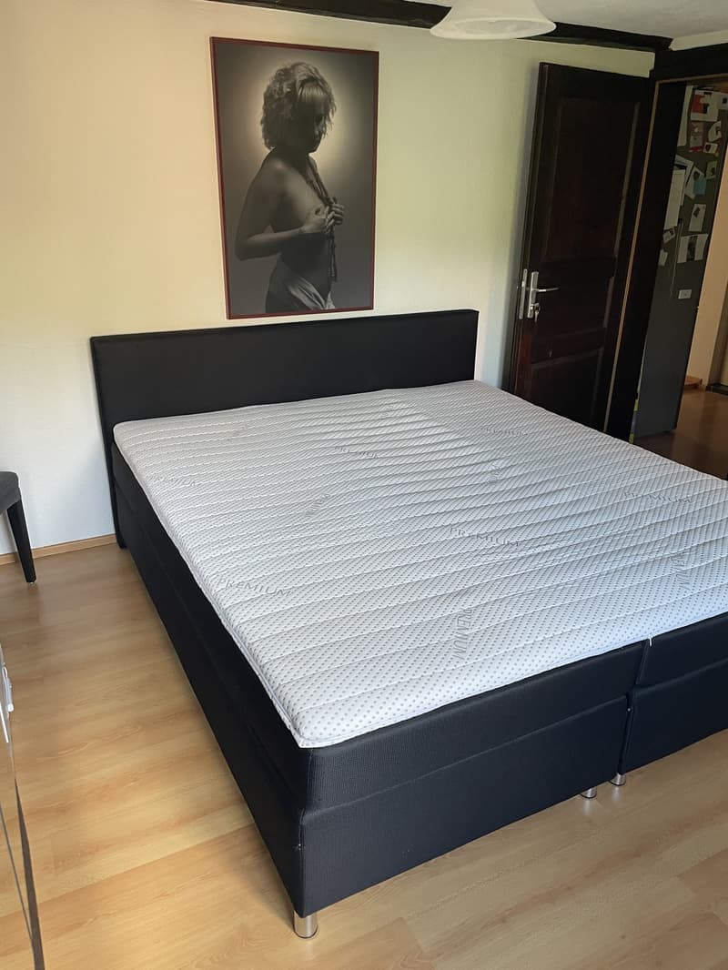 Klein aber Fein (3)