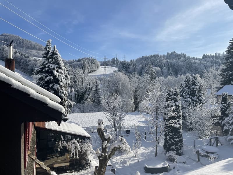 Klein aber Fein (6)