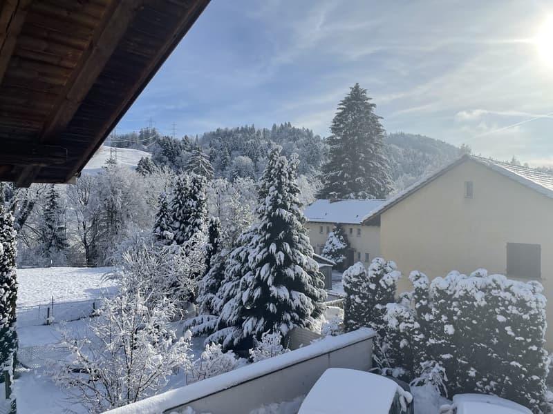 Klein aber Fein (5)