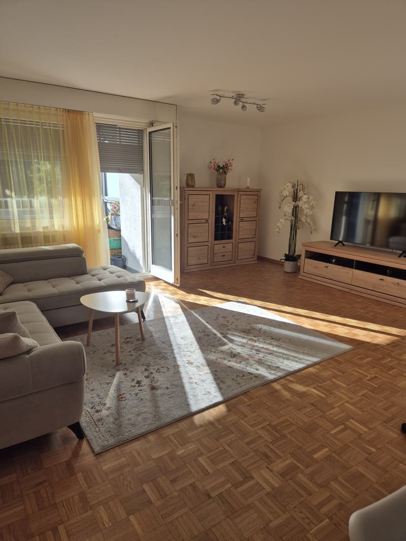 3 ½ Zimmer-Wohnung, 8620 Wetzikon (1)