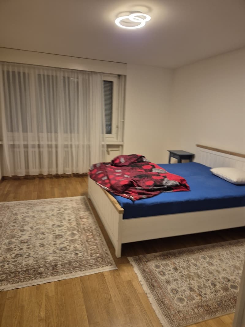 3 ½ Zimmer-Wohnung, 8620 Wetzikon (2)