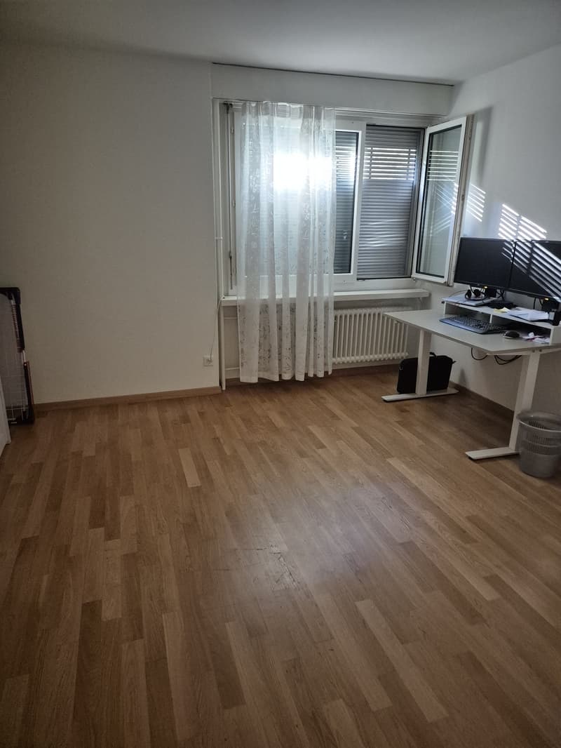 3 ½ Zimmer-Wohnung, 8620 Wetzikon (4)